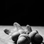 acorn with leaves photo gallery